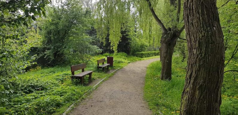 TOP 20 najpiękniejszych parków w Krakowie